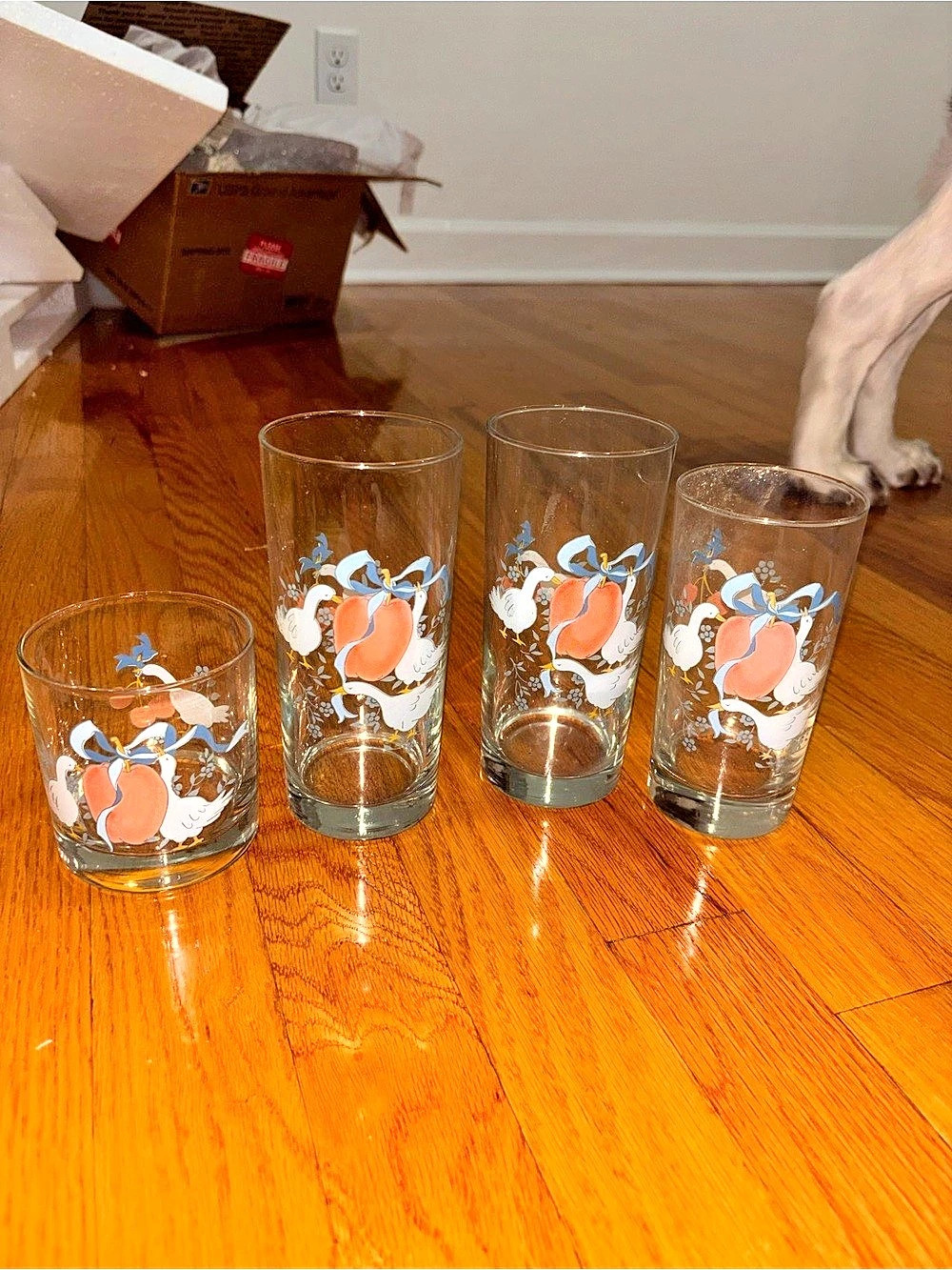 Libbey Country Goose Fruit-Print Drinking Glasses Set of 4